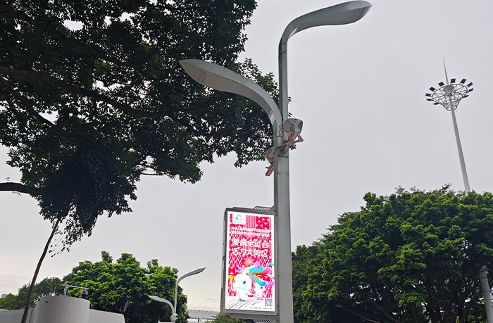 全运会3.jpg